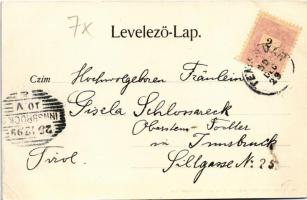 1899 (Vorläufer) Temesvár, Timisoara; Gyárváros, Kossuth Lajos tér, piac, üzletek. Hans Nachbargauer...