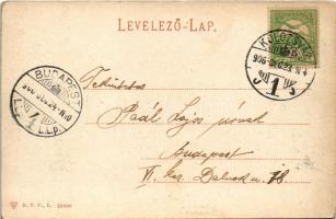 1906 Kolozsvár, Cluj; Mátyás király szobor, Fein F. üzlete / monument, shops (EK)