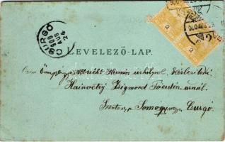 1900 Budapest I. Királyi vár és várbazár. Kunstanstalt Rosenblatt Art Nouveau, floral, litho (EK)