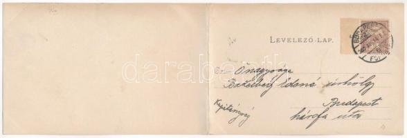 1900 Iglófüred, Spisská Nová Ves Kupele, Novovesské Kúpele; 2-részes kihajtható panorámalap / 2-tile...