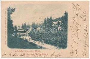 1901 Lublófürdő, Kúpele Lubovna; vilák. Kiadja Latzin János / villas (EK)