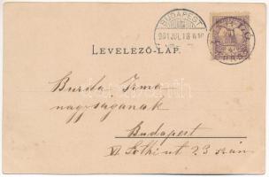 1901 Lublófürdő, Kúpele Lubovna; vilák. Kiadja Latzin János / villas (EK)