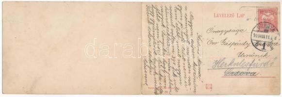 1909 Gyula, József szanatórium. 2-részes kihajtható panorámalap (ragasztónyom / glue marks)