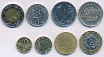 8db-os vegyes érmetétel, közte Argentína, Törökország, Litvánia, Egyiptom, Marokkó, Szíria T:AU-VF
...