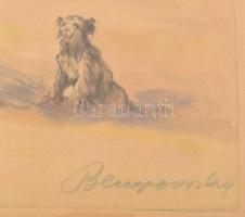 Benyovszky István (1898-1969): Állatok a tanyán. Színezett rézkarc, papír, jelzett, lap széle foltos...