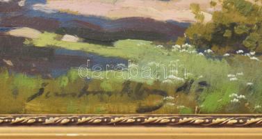 Olvashatatlan jelzéssel: Libák. Olaj, karton. Sérült. Dekoratív fakeretben, 30x40 cm