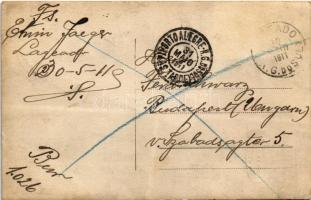 1911 Porto Alegre, general view of Lageado. Rudolf Feix photo (surface damage)