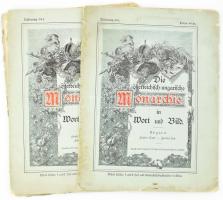 Az Osztrák-Magyar Monarchia írásban és képben c. könyv füzet kiadásának 2 db magyar területeket és egy Galiciát bemutató füzete sérült papírborítóval német nyelven