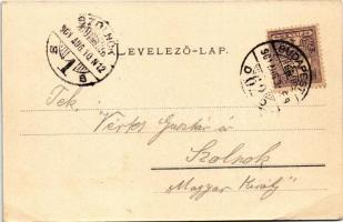 1901 Budapest, Duna részlet, Ferenc József híd, Citadella, piac a rakparton. Ganz Antal 27. (EB)