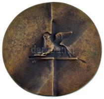 Franciaország DN "Európai Kulturális Társaság" bronz emlékérem eredeti dísztokban (90mm) T...