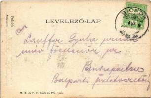 Siófok, Különfürdők. M. T. és F. V. Koch és Pór kiadása