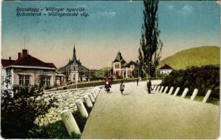 Rózsahegy, Ruzomberok; Willinger nyaralók. Valuch János kiadása / Willingerovské vily / villas (kopott sarkak / worn corners)
