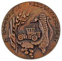 Lajos József (1936-) DN "A szocialista mezőgazdaságért" egyoldalas bronz emlékérem tokban (94mm) T:UNC patina