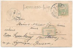 1906 Déva, vár, városi kisdedóvó (óvoda). Hirsch Adolf kiadása / castle, kindergarten, nursery (ázot...