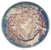 Fritz Mihály (1947- ) DN "Szeged" ezüstözött fém emlékérem tokban (42,5mm) T:AU (PP) patina