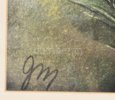 Gonda Margit (?-): Virág szirom . Akvarell, papír, dekoratív keretben 34x34 cm