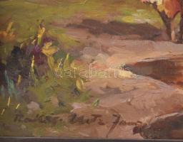 Rákosi Uitz János (1887-?): Tehenek. Olaj, karton, jelzett. Keretben, 30×40 cm