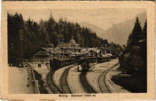 1914 Brünig, Bahnhof / railway station, trains, locomotive (fl)