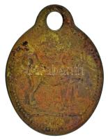 Eperjes (Presov) 1913/1914. "Eperjes H.K." ebadójegy / kutyabárca, "41" sorszámm...