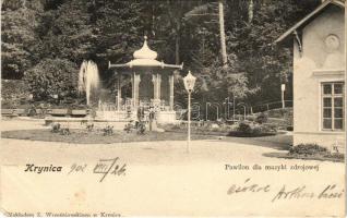 1902 Krynica, Krynica-Zdrój; Pawilon dla muzyki zdrojowej / spa, music pavilion, fountain (EK)