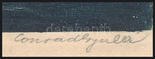 Conrad Gyula (1877-1959): Est a Dunán (Budapest). Rézkarc, papír, jelzett, 15×21 cm