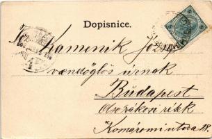 1902 Brno, Brünn; Královo pole (small tear)