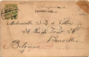 1904 Arad, Csanádi palota. Szecessziós címeres litho keret / palace. Art Nouveau, coat of arms litho...