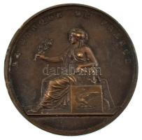 Franciaország 1809. "Napóleon / Franciaország Bankja" bronz emlékérem. Szign.: J.P. Droz (...