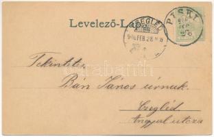 1906 Piski, Simeria; A piski csata (F. Breidwieser festménye után), Bem-szobor, emlékmű. Főző József...