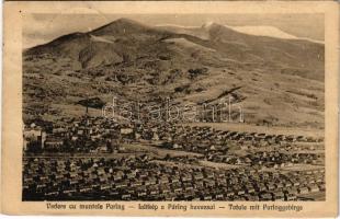 1924 Petrozsény, Petrosani; Páring havas és kolónia. Keller József felvétele / mountain and colony