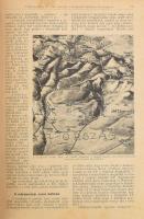 Zigány Árpád: Tolnai: A világháború története 1-2. kötet. 1. kötet: 1914-1915. 2. kötet: 1914-1916.D...