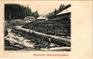 Tótosbánya, Totos (Budfalva, Budesti, Máramaros); Zserampó-völgy, aranybánya. Berger Miksa kiadása / valley, gold mine