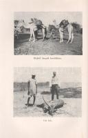 Almásy László:
Autóval Szudánba. Első autó-utazás a Nilus mentén. Vadászatok angol-egyiptomi Szudán...