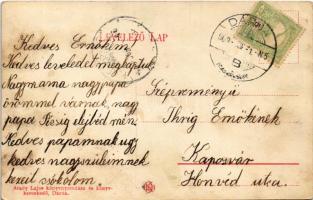 1909 Dárda, Gyolató, Esterházy kastély részlete. Arady Lajos kiadása / castle (fl)