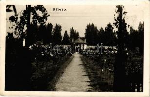 1943 Zenta, Senta; kert. A szfövárosi Sasadi úti kertészet főintézőjének címezve / garden. photo