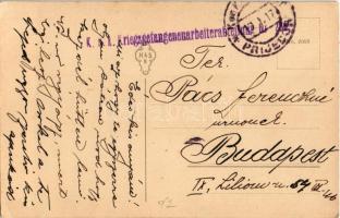 1917 Wenn ich an meine Mizzi denk / WWI German military art postcard, soldier boy. litho + "K.u...