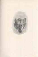 Seton, Ernest Thompson:

Wild Animals I Have Known. Being the Personal Histories of Lobo, Silverso...