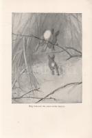 Seton, Ernest Thompson:

Wild Animals I Have Known. Being the Personal Histories of Lobo, Silverso...