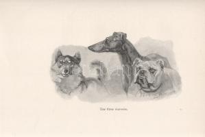Seton, Ernest Thompson:

Wild Animals I Have Known. Being the Personal Histories of Lobo, Silverso...