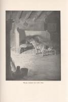 Seton, Ernest Thompson:

Wild Animals I Have Known. Being the Personal Histories of Lobo, Silverso...