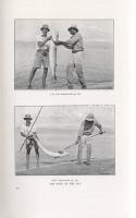Hedges, F[rederick] A[lbert] Mitchell:

Battles With Giant Fish. With Illustrations from Photograp...