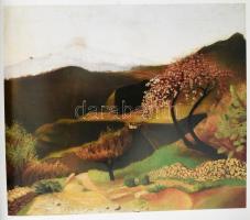 Németh Lajos: Csontváry. Bp., 1988, Corvina. Gazdag képanyaggal illusztrált. 5., bővített kiadás. Ki...