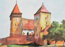 Juliana Fabritius-Dancu: Sächsische Kirchenburgen in Siebenbürgen. Sibius [Nagyszeben], 1983, Tranms...