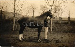 1910 Gyöngyös, katonatiszt a lovával, photo (EK)