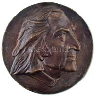 DN &quot;Liszt Ferenc&quot; bronz emlékérem jelzés nélkül, hátlapon akasztóval (162mm) T:AU