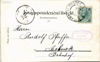 1900 Frydek, Friedek (Frydek-Místek); general view (EK)
