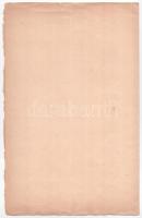 Szepes-Igló 1895. "Szepes-iglói m. kir. bányakapitányság" bányarészvény-jegy bélyegzéssel ...