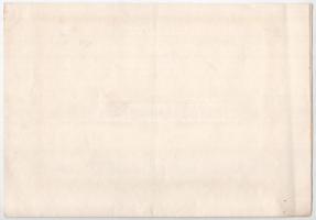 Budapest 1889. "Varasd-Goluboveczi Helyi Érdekű Vasut Részvény-társaság" törzsrészvénye 20...
