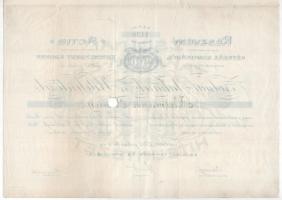 Zsolna 1911. "Zsolnai Takarék- és Hitelintézete" részvény 200K-ról, szárazpecséttel, lyuka...