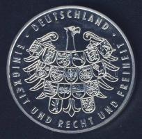Németország 2006. "Labdarúgó VB - Hamburg" Ag emlékérem 25g T:PP